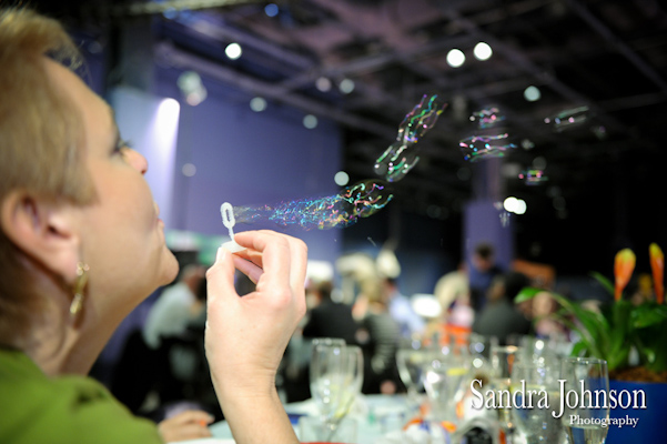 Best Orlando Science Center Wedding photographer - Sandra Johnson (SJFoto.com)